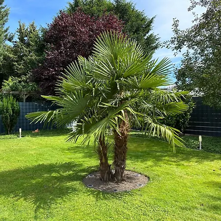 Auszeit * دوسلدورف